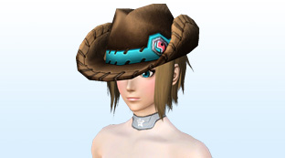 ファイル:ブラウンテンガロンハット3.jpg