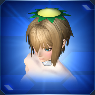 ファイル:カッパの皿 sc2.jpg