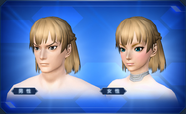 ファイル:編みこみハーフアップボブ sc2.jpg