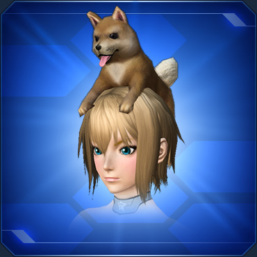 ファイル:頭乗り子犬 sc2.jpg