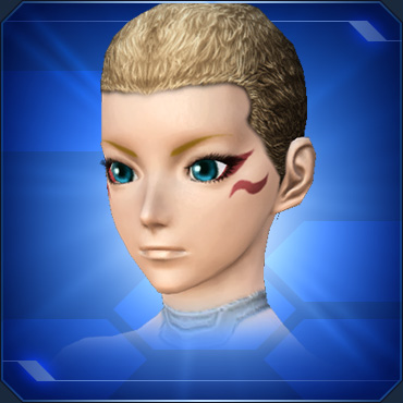 ファイル:カブキケショウ sc2.jpg