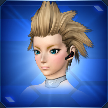 ファイル:ディレクトインカム sc2.jpg