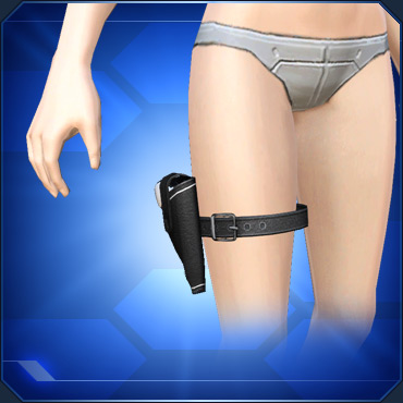 ファイル:ブラックレッグホルスター3.jpg