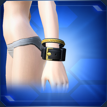 ファイル:レザーバングル sc2.jpg