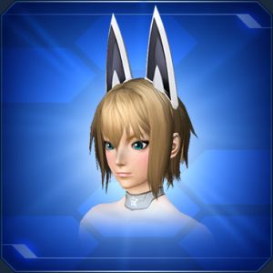 ヴィクセンヘッドギアB sc2.jpg