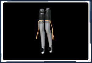 アムアイラ・レッグCV sc2.jpg