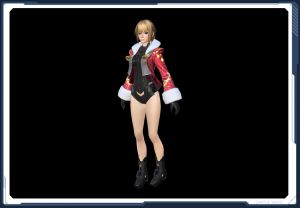 ☆佳凰錦繍セット1 sc2.jpg