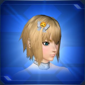 パンプキンリボン sc2.jpg