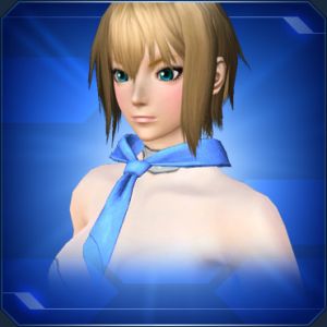 コックスカーフ 青 sc2.jpg