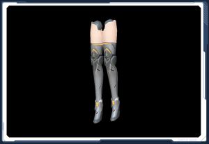 デルマーチ・レッグ sc2.jpg