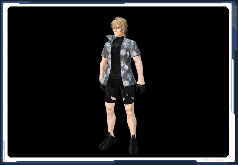 ファイル:☆ハワイアンシャツ銀箱2 sc2.jpg