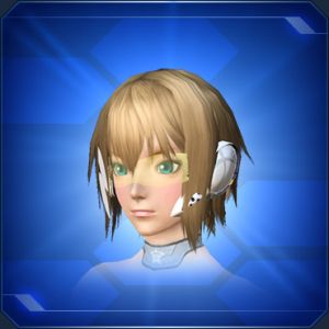 アクセルバイザー sc2.jpg