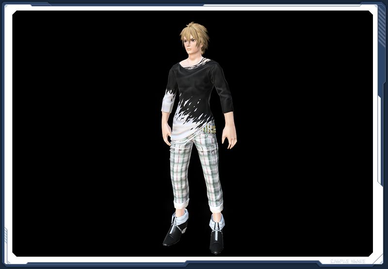 ファイル:チェックスラックス雪 Ba sc2.jpg