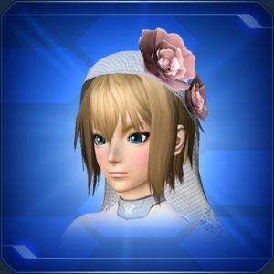 ローズヴェール sc2.jpg