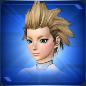 クレーデルピアス sc2.jpg