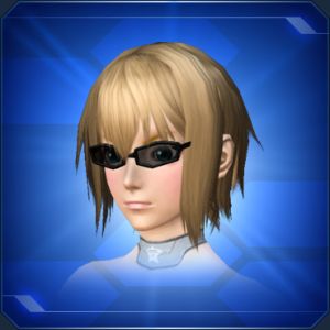 ディレクトグラス sc2.jpg