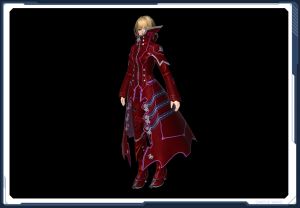 ドラグナーコートF紅 sc2.jpg