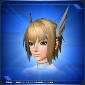 天輪の鎧・サークレット sc2.jpg