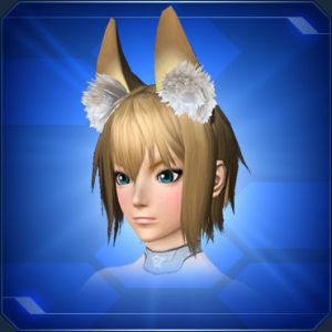 テンプルスタイルイヤー sc2.jpg