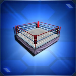 ファイトリング sc2.jpg