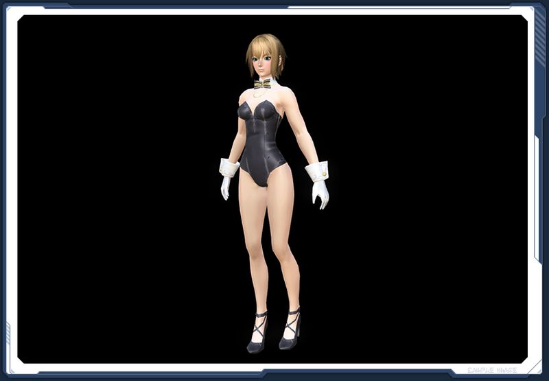 ファイル:ラックレイズバニー Ba sc2.jpg