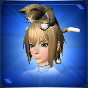 頭乗りキジネコ sc2.jpg