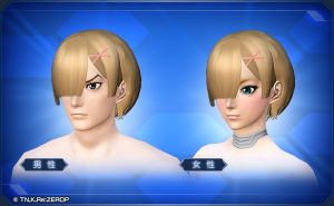 レムヘアー sc2.jpg