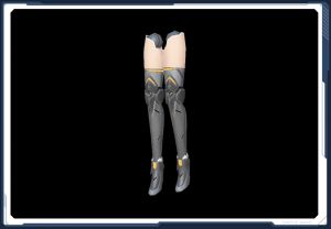 デルマーチ・レッグGV sc2.jpg