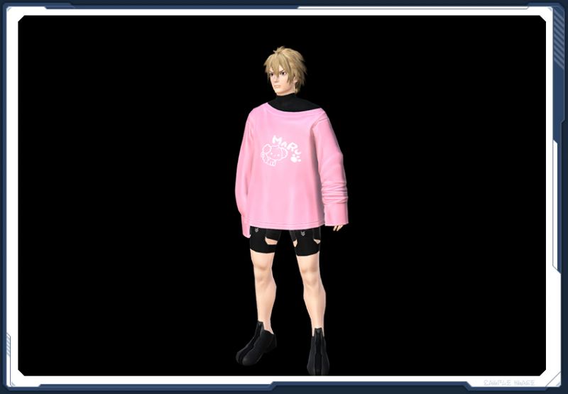 ファイル:☆ぶかぶかTシャツM箱1 sc2.jpg