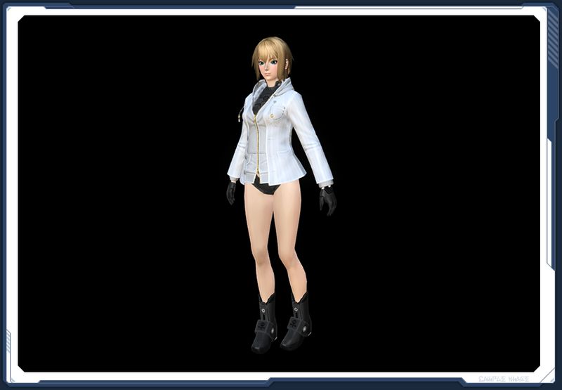 ファイル:☆パーカージャケットF箱2 sc2.jpg