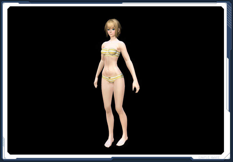 ファイル:ボーダー１月 In sc2.jpg