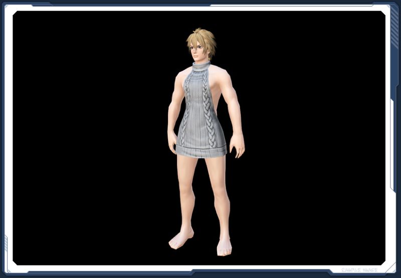 ファイル:バックレスニットM銀 Ba sc2.jpg