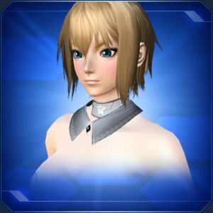 チャームつけ襟 灰 sc2.jpg