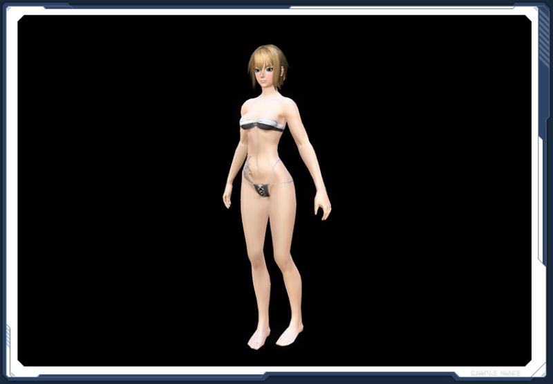 ファイル:シーナの革鎧 雪 In sc2.jpg