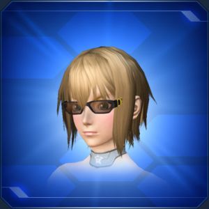 クールサングラス sc2.jpg