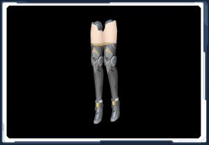 デルマーチ・レッグCV sc2.jpg