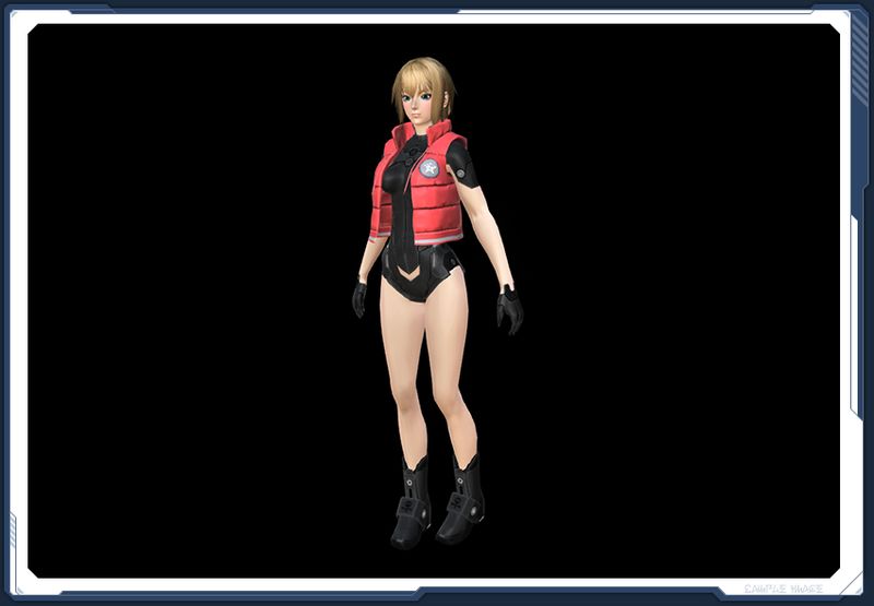 ファイル:☆ミニダウンベストF箱6 sc2.jpg