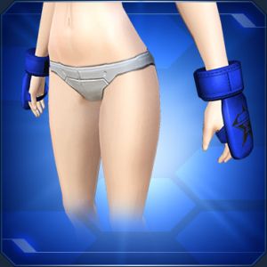 ファイトグローブ 青 sc2.jpg