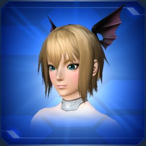 エクセラヘアアクセ sc2.jpg