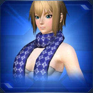 ノルディックマフラー 青 sc2.jpg