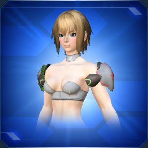 ステラアームギア sc2.jpg