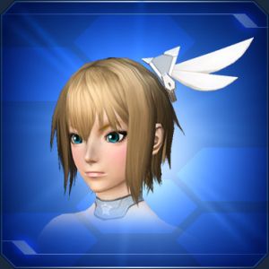 ルティナの髪飾り sc2.jpg