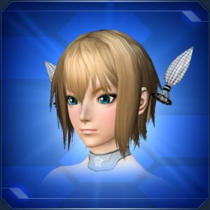 ラッケージリボン sc2.jpg