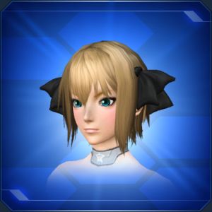 シフォンリボン 黒 sc2.jpg