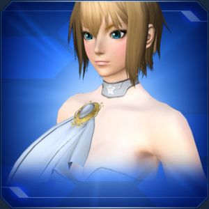 ノーブルスカーフ sc2.jpg