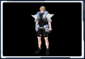 ☆ゲッテムハルトの鎧箱2 sc2.jpg