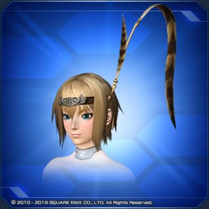 テンプルサークレット sc2.jpg