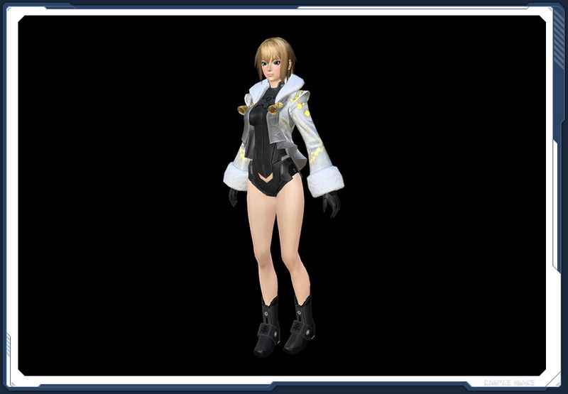 ファイル:☆佳凰錦繍セット5 sc2.jpg