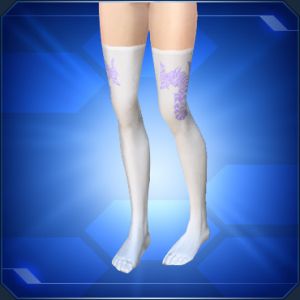 ヴォルドラニーソックス sc2.jpg