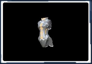 シャンフー・ボディ sc2.jpg